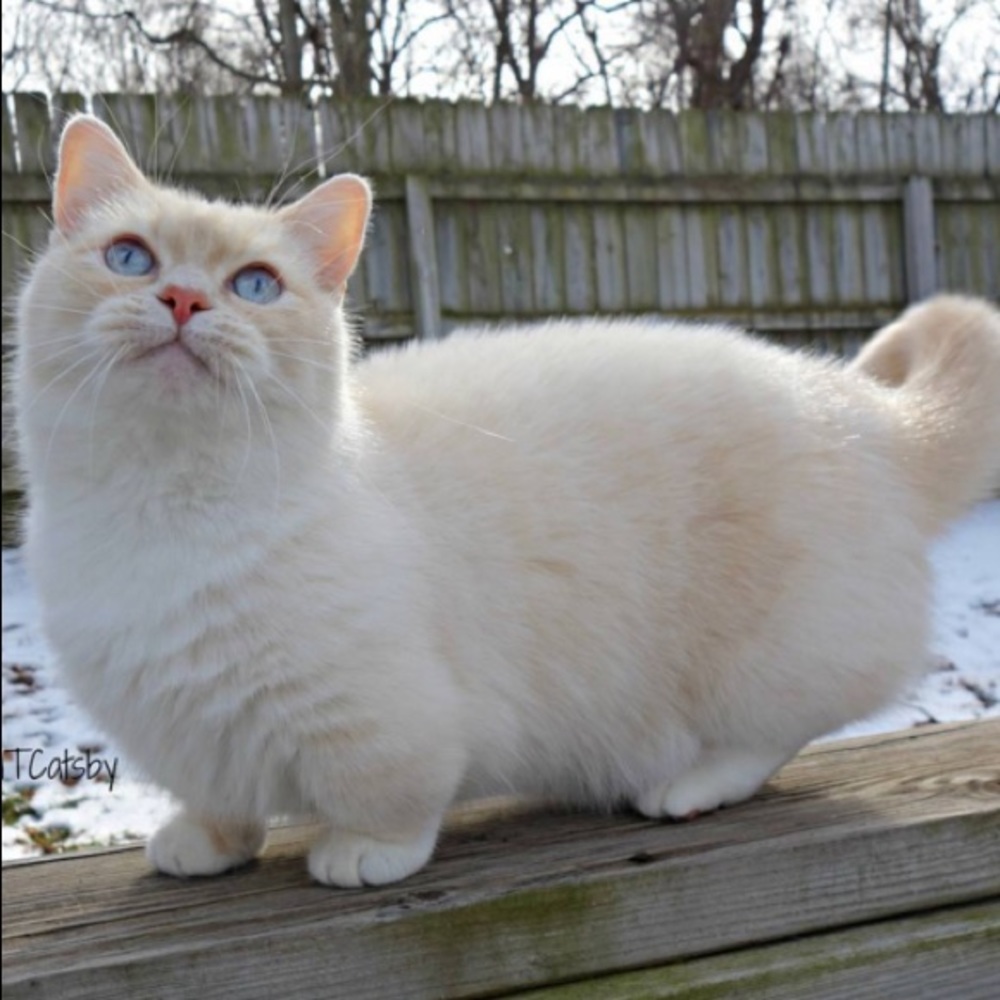 Meet your Posher, Angelica